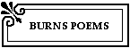 Burns Poems